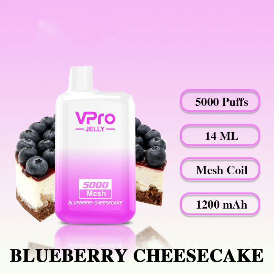 VPRO Blueberry cheesecake 5000 puff