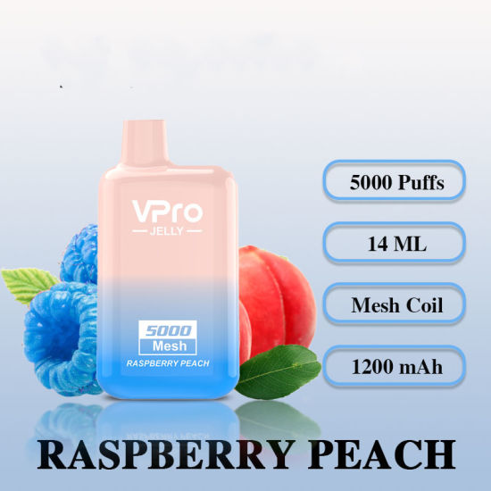 Vpro Raspberry Peach 5000 puff